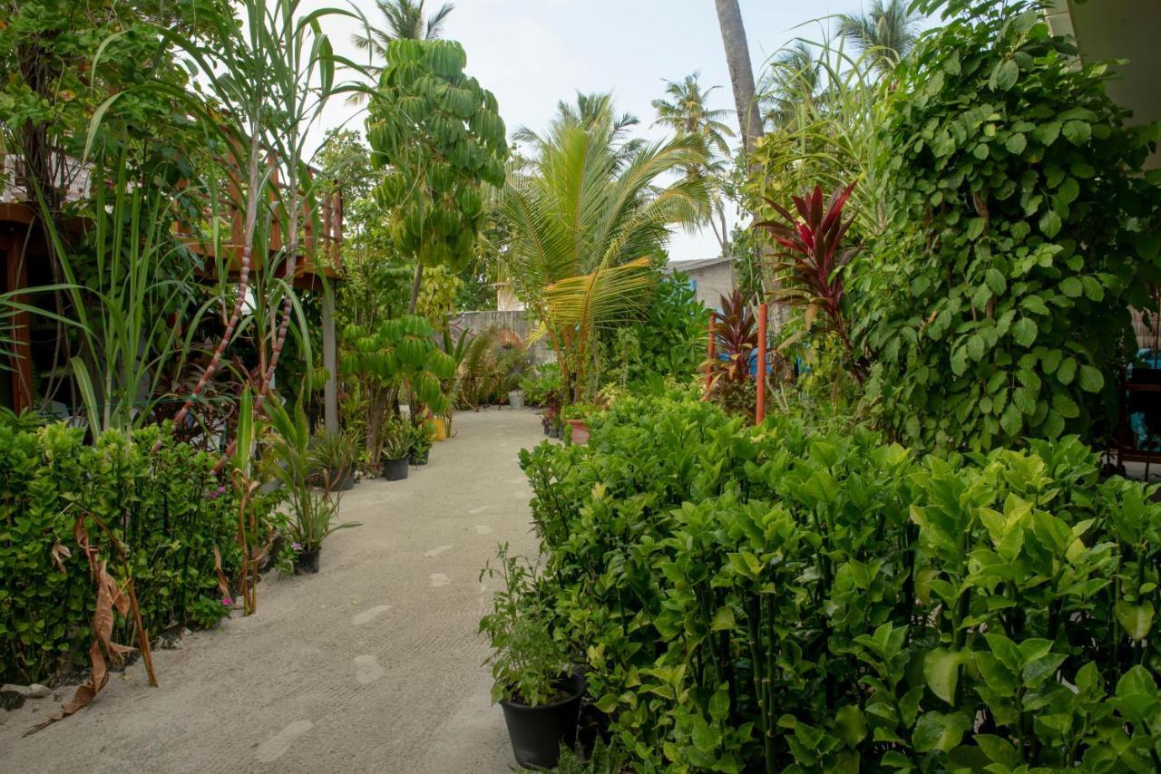 Sunset Beach View Dhangethi Exterior photo