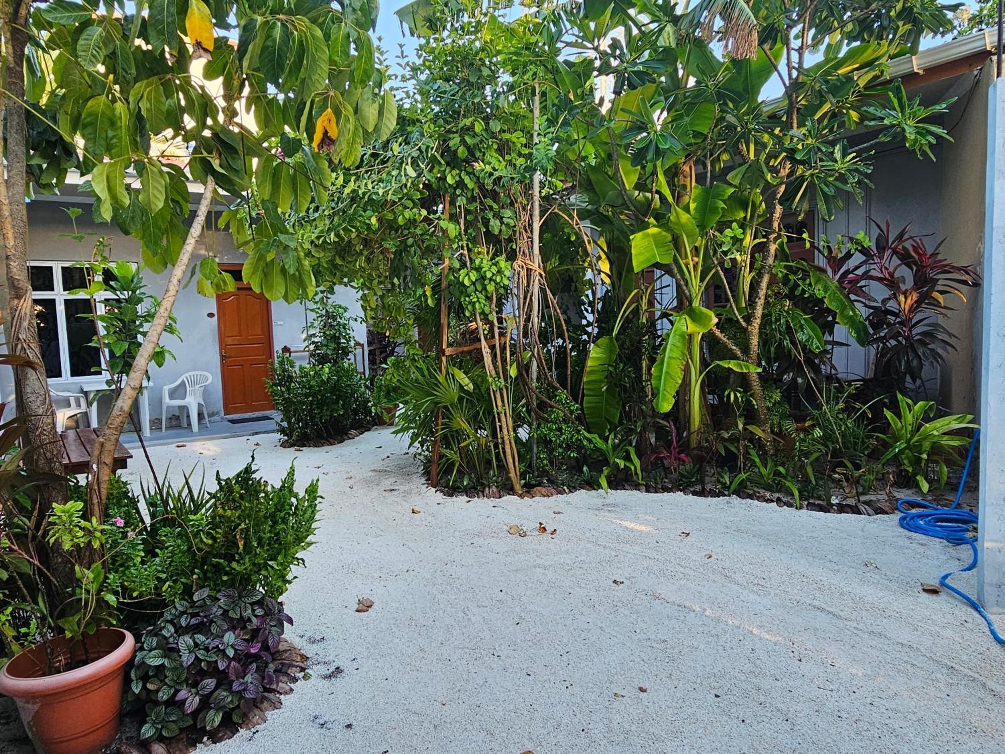 Sunset Beach View Dhangethi Exterior photo