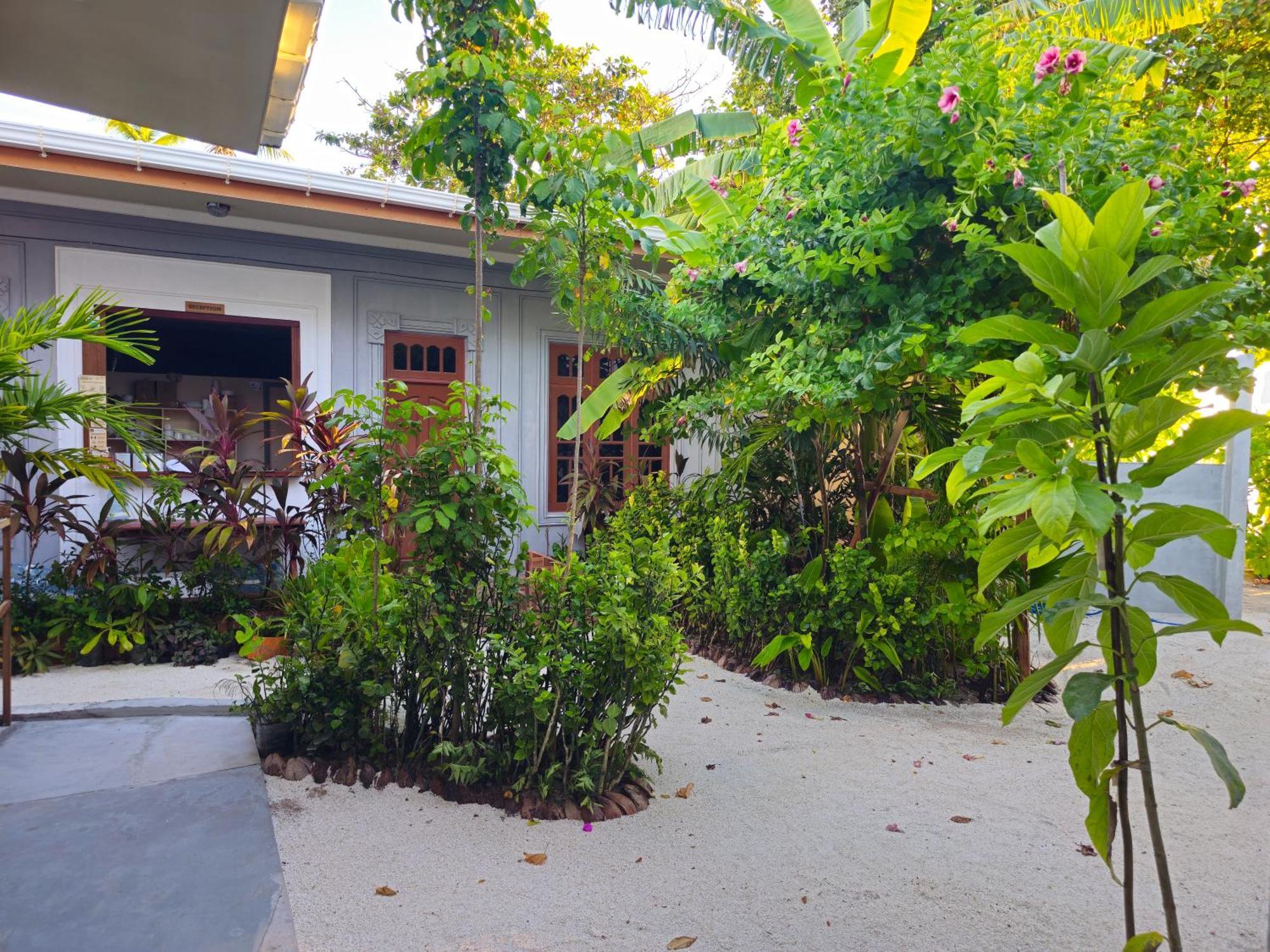 Sunset Beach View Dhangethi Exterior photo