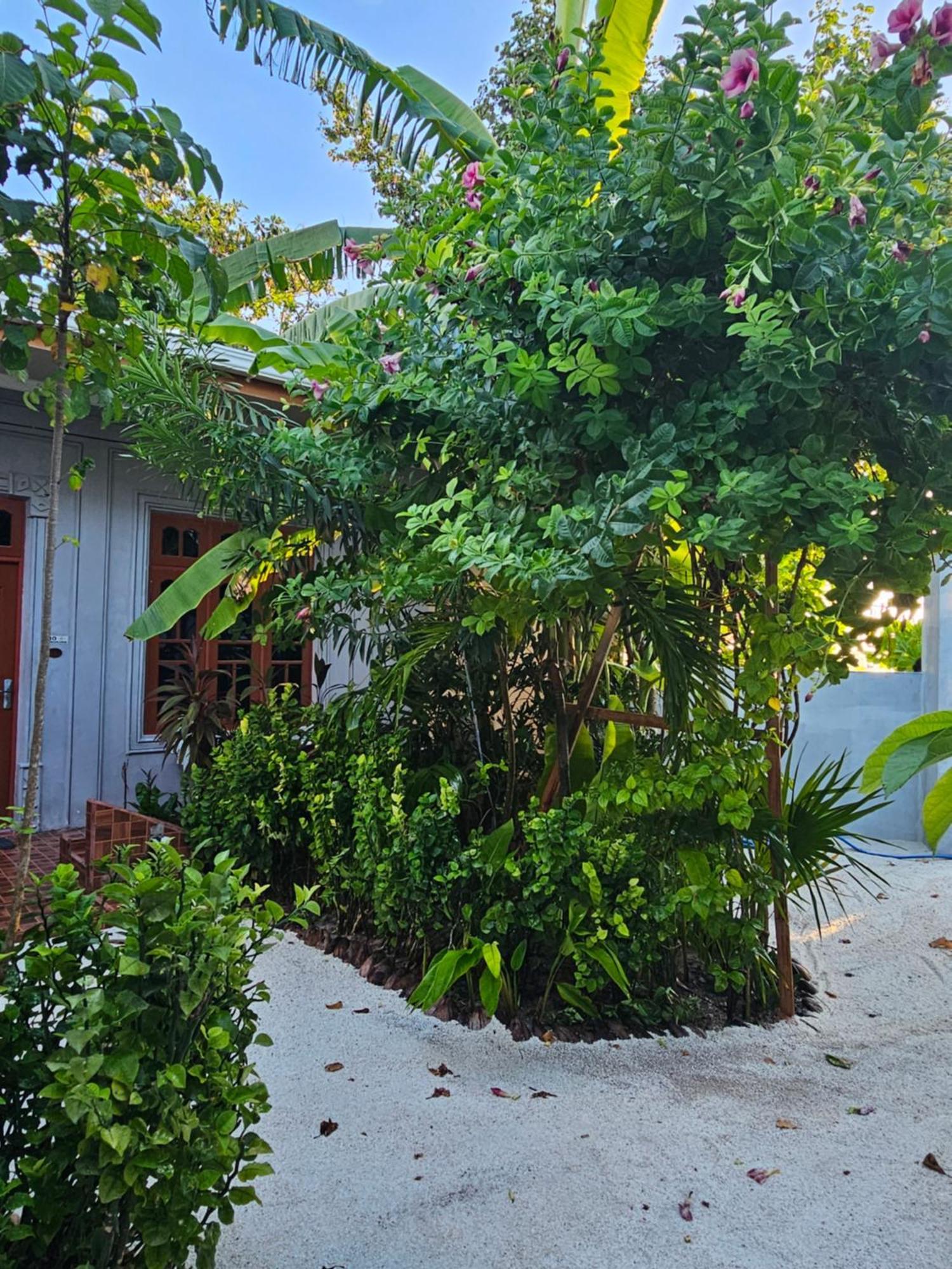 Sunset Beach View Dhangethi Exterior photo