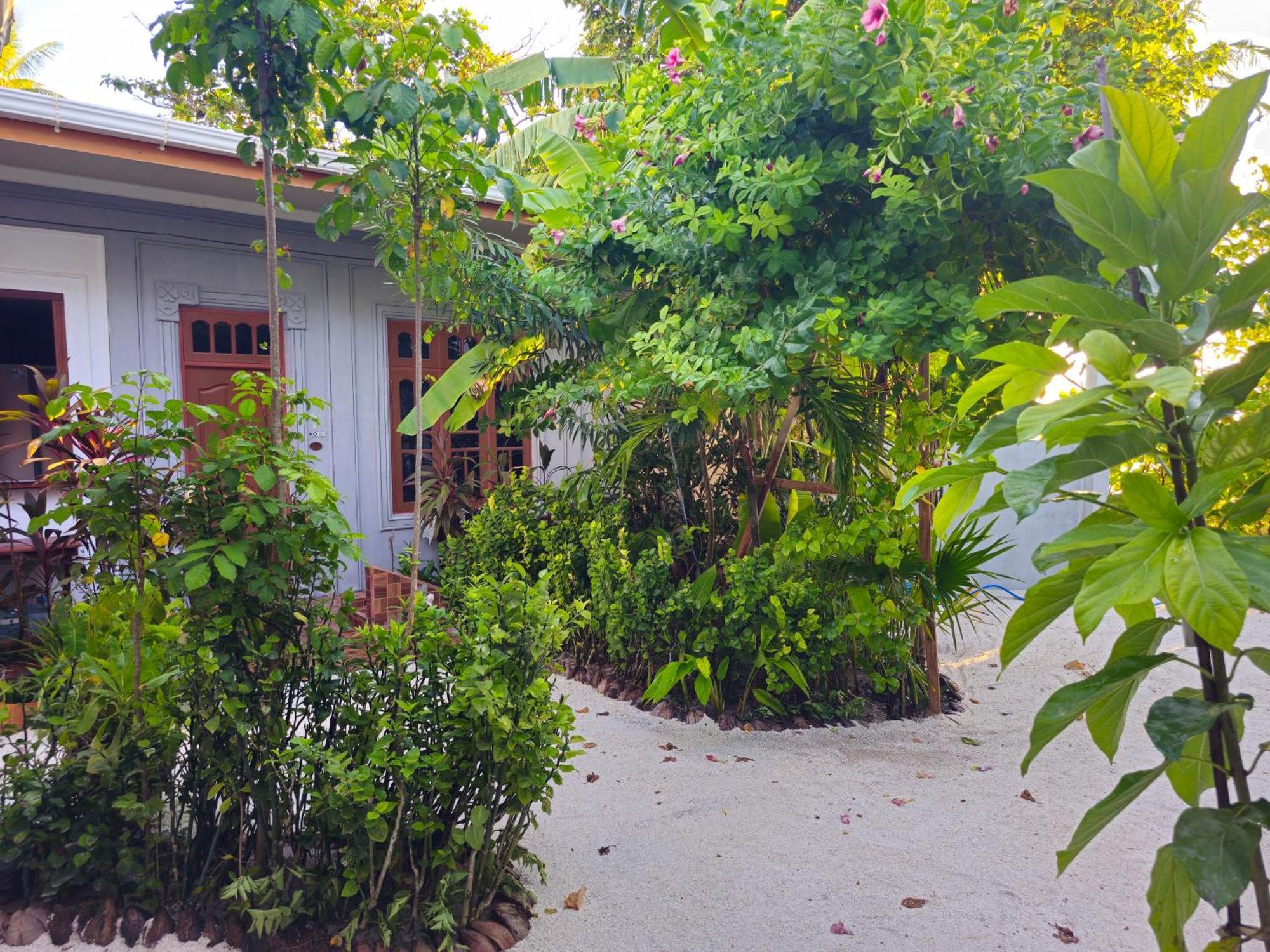 Sunset Beach View Dhangethi Exterior photo
