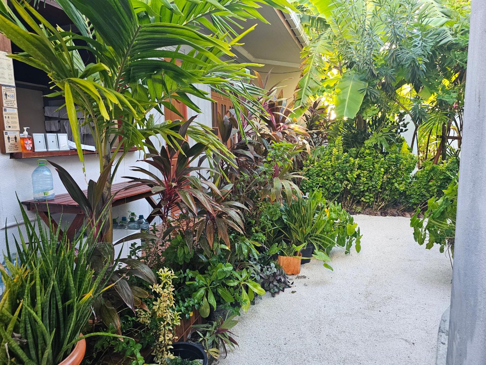Sunset Beach View Dhangethi Exterior photo