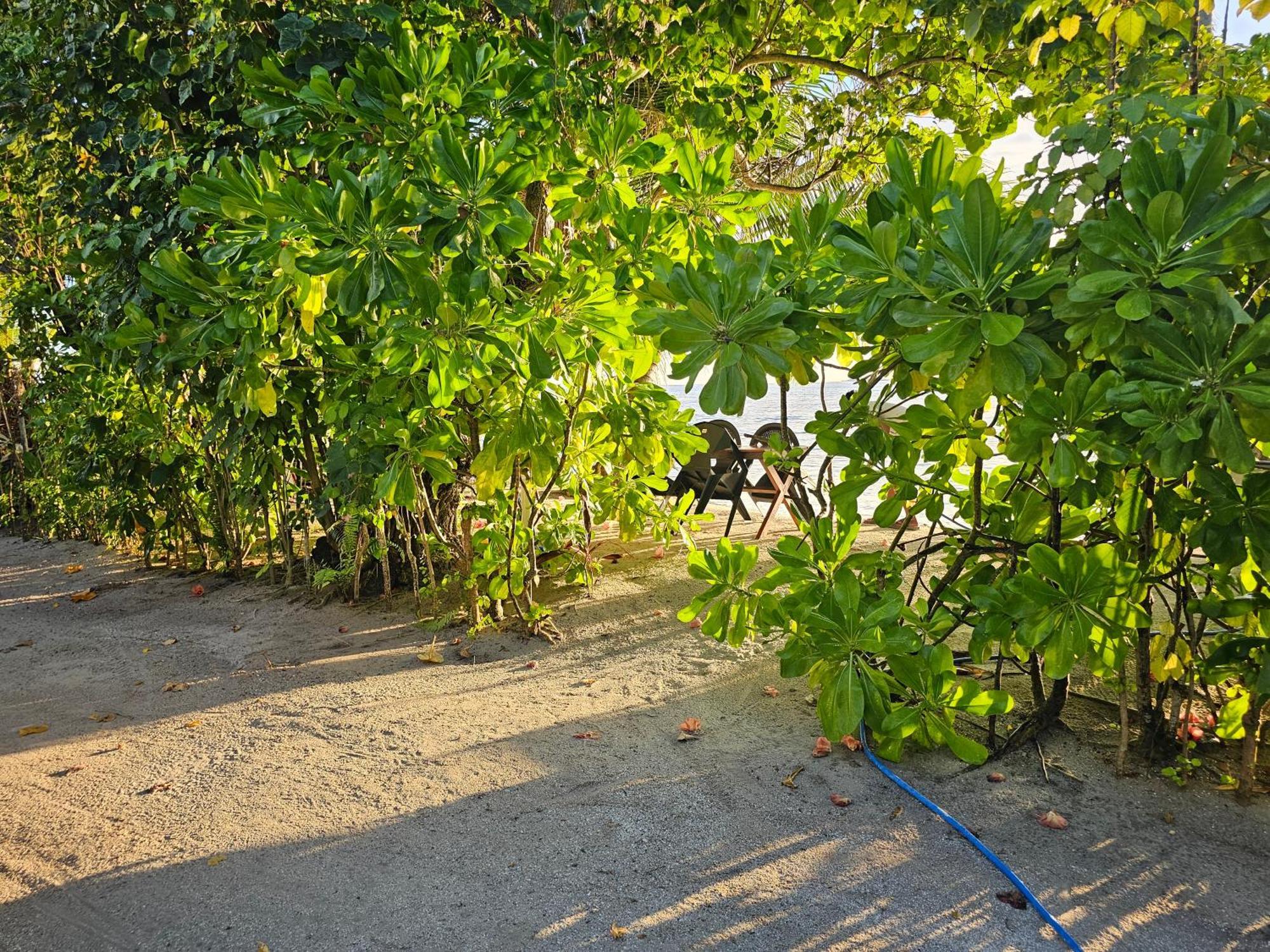 Sunset Beach View Dhangethi Exterior photo